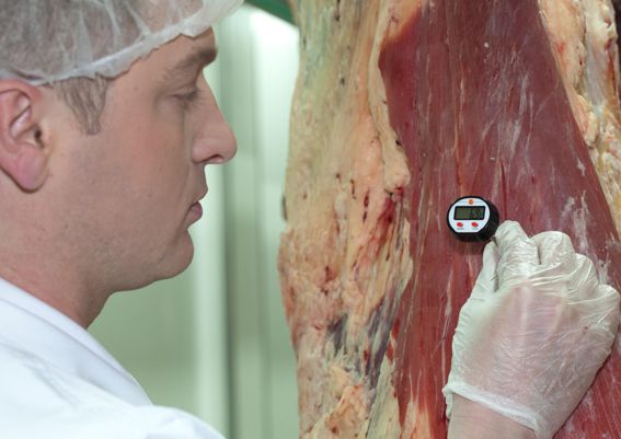 The Meat At PK Vleisverspreiders Are Quaility Checked Every Time
