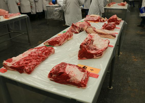 The Meat At PK Vleisverspreiders Are Quaility Checked Every Time